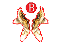 [Bound] Angel Wings