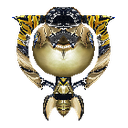 Amber Elixir